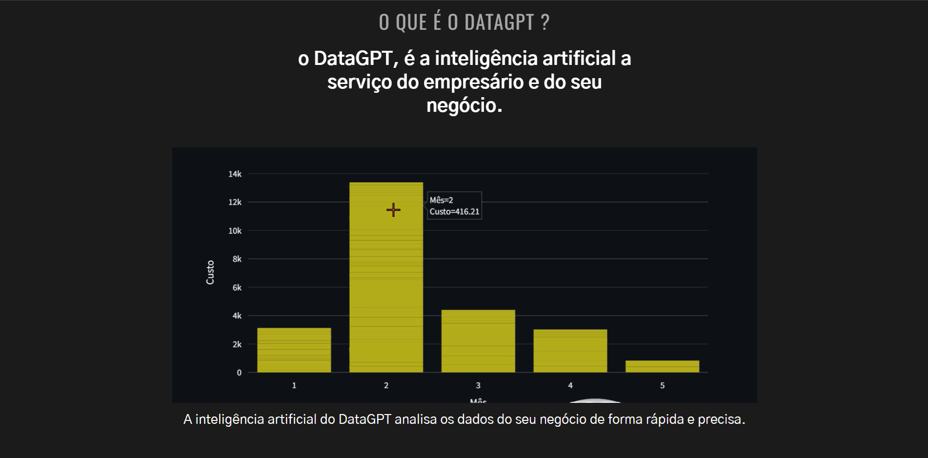 DataGPT - AI para análise de dados empresariais